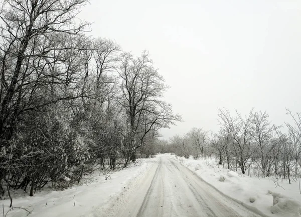 Paisaje Bosque Invierno Mucha Nieve Bosque Árboles Nieve — Foto de Stock