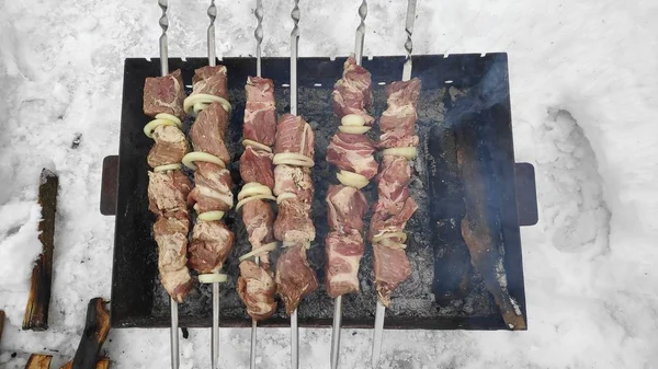 Carne Grelhada Saborosa Fogo Prato Carne Shish Inverno Cozinhar Carne — Fotografia de Stock