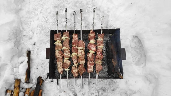 Sabrosa Carne Parrilla Fuego Shish Kebab Invierno Cocinar Carne — Foto de Stock