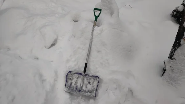 Man Clearing Snow Path Shovel Tempo Inverno Inverno Fundo Dia — Fotografia de Stock