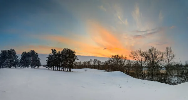 Beautiful Landscape Winter Forest Lot Snow Branches Forest Sunset Winter — Stock Photo, Image