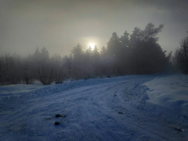 Téli Táj Erdő Sok Hideg Havas Tél Ágai Hóban Természetes — Stock Fotó