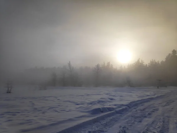 Vinterlandskap Skogen Mycket Snö Trädgrenar Snön Naturliga Landskap Med Kall — Stockfoto