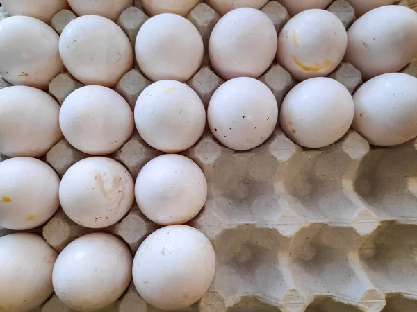 white chicken eggs, lots of chicken eggs in a tray