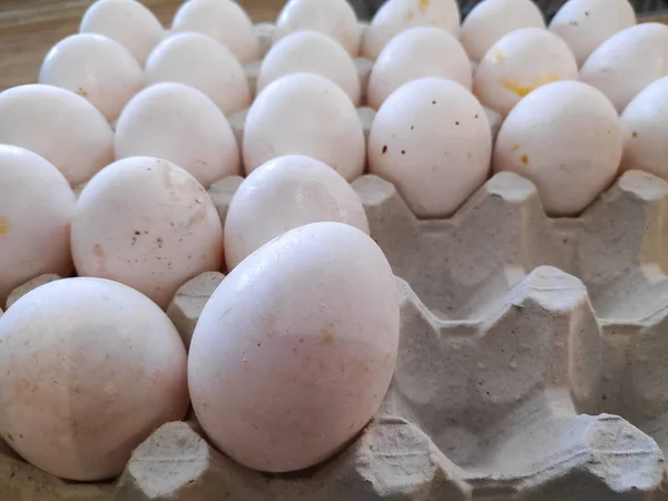 Білі Курячі Яйця Багато Курячих Яєць Лотку — стокове фото