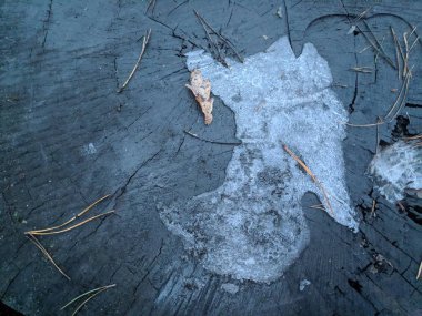 Siyah ahşap doku ve şeffaf buz