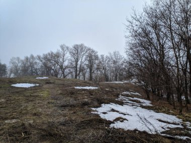 sis, kar, bahar tezcan ormandaki sahip kış manzarası