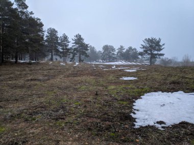 sis, kar, bahar tezcan ormandaki sahip kış manzarası