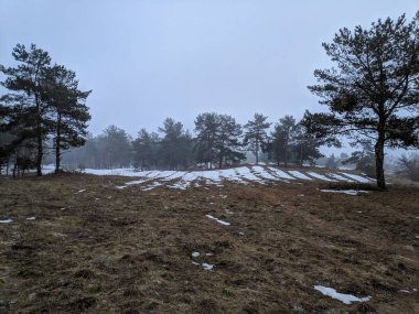sis, kar, bahar tezcan ormandaki sahip kış manzarası