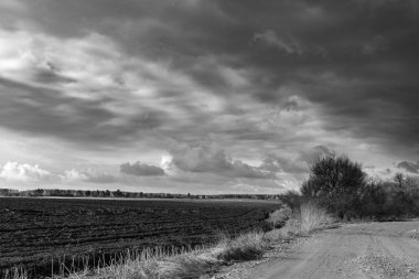 siyah beyaz manzara, Bahar, bulutlar gökyüzünde ve orman