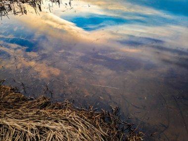 nehir banka, su, kuru ot temiz temiz su, deniz kenarında sarı kum, su gökyüzünün yansıması