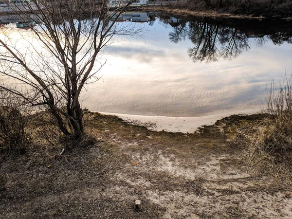 Riva Del Fiume Erba Secca Vicino All Acqua Acqua Limpida — Foto Stock