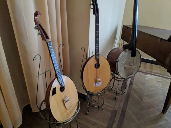 string musical instrument kobza, unusual guitar