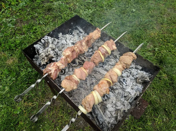 Smaczne Mięso Ogień Szaszłyki Ogień Grillowane Mięso Gotowanie Węgiel Drzewny — Zdjęcie stockowe