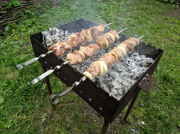 Carne Saborosa Fogo Espetos Fogo Carne Grelhada Cozinhar Carvão Vegetal — Fotografia de Stock