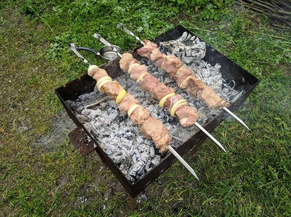 Smaczne Mięso Ogień Szaszłyki Ogień Grillowane Mięso Gotowanie Węgiel Drzewny — Zdjęcie stockowe