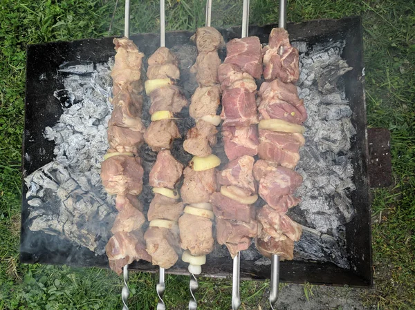Вкусное Мясо Огне Шашлыки Огне Мясо Гриле Приготовление Пищи Древесном — стоковое фото