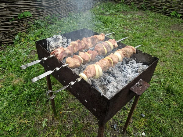 Carne Saporita Sul Fuoco Spiedini Sul Fuoco Carne Alla Griglia — Foto Stock