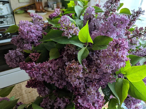 Fioletowy Liliowy Piękny Bukiet Lilacs Fioletowe Kwiaty Bliska — Zdjęcie stockowe