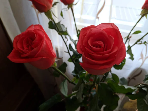 Piękne Róże Płatki Rosebuds Bukiet — Zdjęcie stockowe