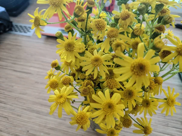 Bukiet Żółtych Kwiatów Piękne Żółte Stokrotki — Zdjęcie stockowe