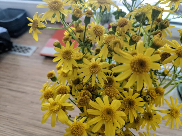 Bukiet Żółtych Kwiatów Piękne Żółte Stokrotki — Zdjęcie stockowe