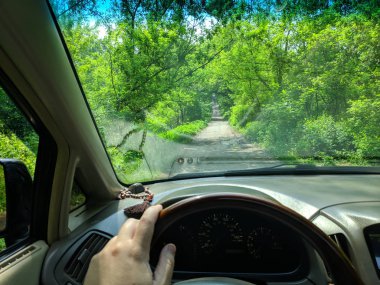 araba gezisi, karavan, araba içinde sürücü