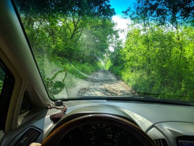 araba gezisi, karavan, araba içinde sürücü