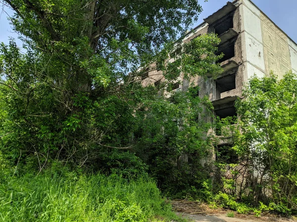 Руины Домов Заброшенных Городов — стоковое фото