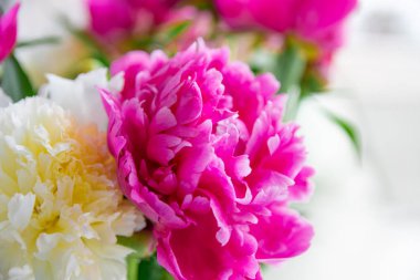 Beyaz ve pembe şakayıklar, bir buket bahar çiçeği, şakayık yaprakları