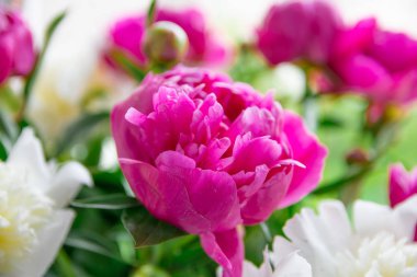 Beyaz ve pembe şakayıklar, bir buket bahar çiçeği, şakayık yaprakları