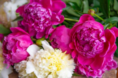 Beyaz ve pembe şakayıklar, bir buket bahar çiçeği, şakayık yaprakları