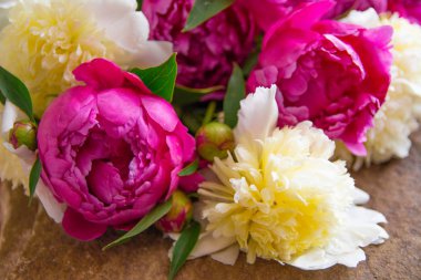 Beyaz ve pembe şakayıklar, bir buket bahar çiçeği, şakayık yaprakları