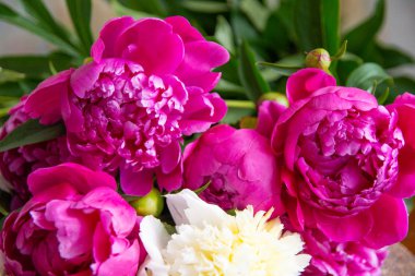 Beyaz ve pembe şakayıklar, bir buket bahar çiçeği, şakayık yaprakları