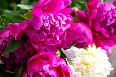 Beyaz ve pembe şakayıklar, bir buket bahar çiçeği, şakayık yaprakları