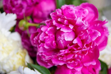 Beyaz ve pembe şakayıklar, bir buket bahar çiçeği, şakayık yaprakları