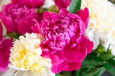 Beyaz ve pembe şakayıklar, bir buket bahar çiçeği, şakayık yaprakları