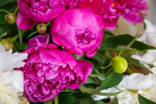 Beyaz ve pembe şakayıklar, bir buket bahar çiçeği, şakayık yaprakları