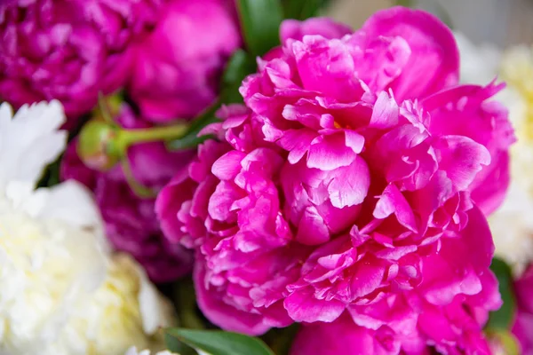 Beyaz ve pembe şakayıklar, bir buket bahar çiçeği, şakayık yaprakları