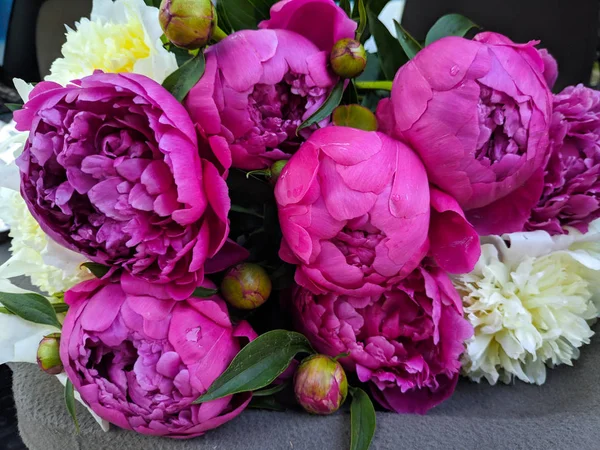 beautiful bouquet of peonies