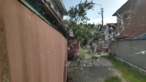 Telaraña Balancea Viento Hermosa Tela Delgada — Vídeo de stock