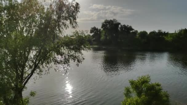 Resplandor Del Sol Agua Árbol Orilla Del Río Video Con — Vídeos de Stock