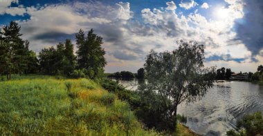 güzel bir yaz manzarası. Peyzaj Panoraması. Çam ormanı. ormanda akşam