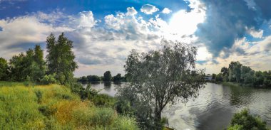 güzel bir yaz manzarası. Peyzaj Panoraması. Çam ormanı. ormanda akşam