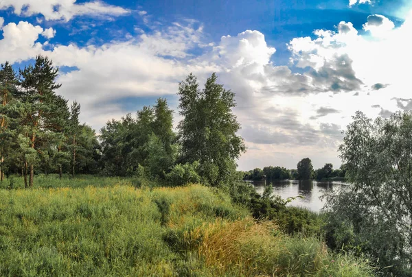 Vackert Sommar Landskap Liggande Panorama Tallskog Kväll Skogen — Stockfoto