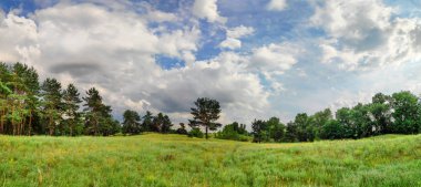 güzel bir yaz manzarası. doğal duvar kağıdı. Orman Panoraması. gökyüzünde güzel bulutlar.