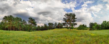 güzel bir yaz manzarası. doğal duvar kağıdı. Orman Panoraması. gökyüzünde güzel bulutlar.