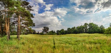 güzel bir yaz manzarası. doğal duvar kağıdı. Orman Panoraması. gökyüzünde güzel bulutlar.