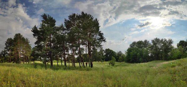 beautiful summer landscape. natural wallpaper. panorama of the forest. beautiful clouds in the sky.