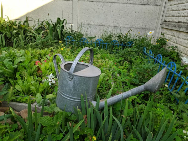 Grande Regador Jardim Pode Rega Aço Pode — Fotografia de Stock